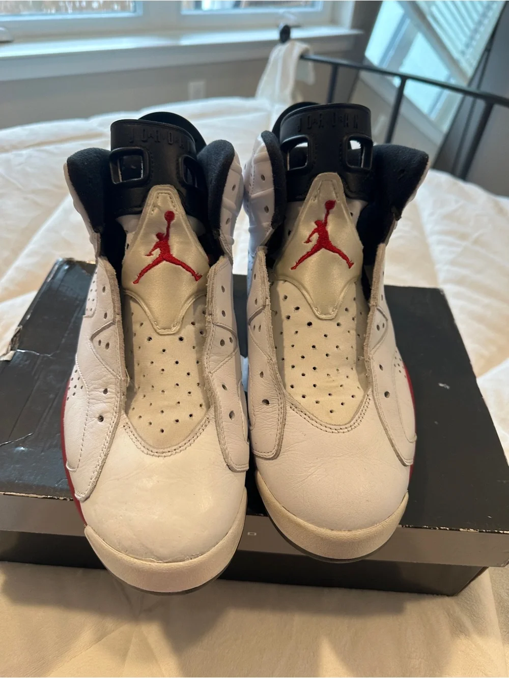 2010 Jordan Air Jordan 6 Retro in White, Red and Black